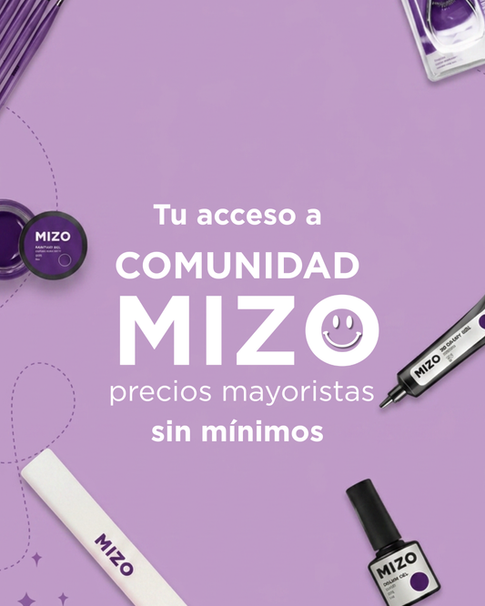 Comunidad Mizo
